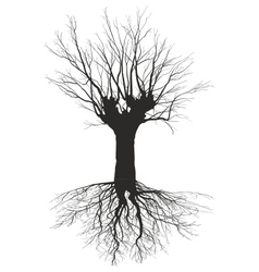 Deciduous Tree Vector Images Over 5 400