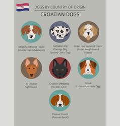 Dogs by country of origin croatian dog breeds Vector Image