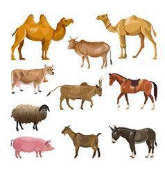 Set farm animals Royalty Free Vector Image - VectorStock