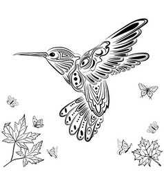 Download Hummingbird Bird Adult Vector Images 78
