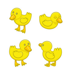 Cartoon ducklings Royalty Free Vector Image - VectorStock