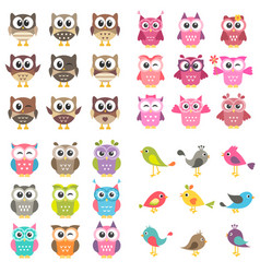 Different kinds of birds in the zoo Royalty Free Vector