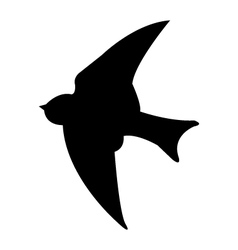 Swallow on white background Royalty Free Vector Image