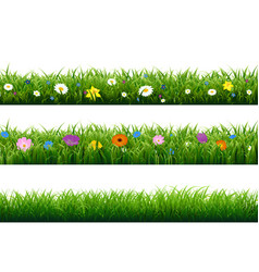 Flower borders Royalty Free Vector Image - VectorStock