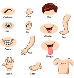 Body Parts Kids Vector Images (over 530)