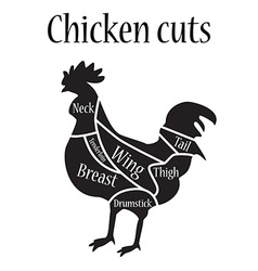 Chicken cuts diagram Royalty Free Vector Image