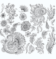 Set of floral design elements Royalty Free Vector Image