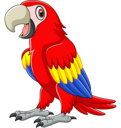 Cartoon funny baby macaw on white background Vector Image