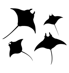 Manta Ray Tribal Vector Images (13)