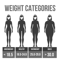 Infographics healthy body Royalty Free Vector Image