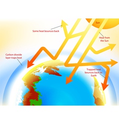 Photosynthesis Royalty Free Vector Image - VectorStock