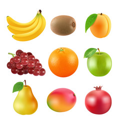 Realistic grapes set of various grape royalty free vector