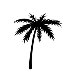 Palm Tree Silhouette Royalty Free Vector Image