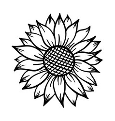 Free Free Vector Sunflower Svg Free 768 SVG PNG EPS DXF File