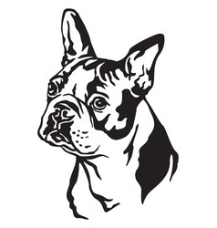 Boston Terrier Vector Images (over 420)