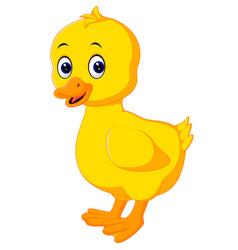 Cute baby duck cartoon Royalty Free Vector Image