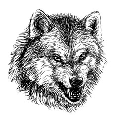 Wolf Outline Vector Images Over 2 600