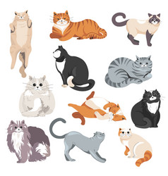 Cartoon pets domestic animals flat icons Vector Image