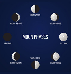 Moon phases icons Royalty Free Vector Image - VectorStock