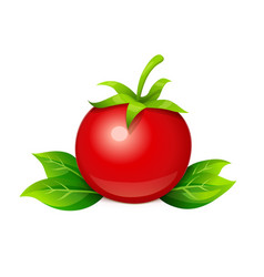 Red ripe tomato Royalty Free Vector Image - VectorStock