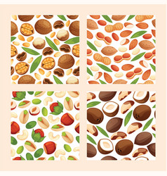 Collection mix different types nuts Royalty Free Vector