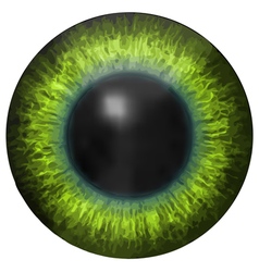 Eye iris texture Royalty Free Vector Image - VectorStock