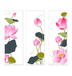 Pink lotus Royalty Free Vector Image - VectorStock