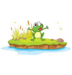 Frog basketball Royalty Free Vector Image - VectorStock