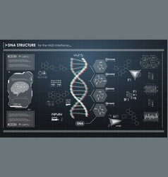 Hud infographic elements with dna structure Vector Image