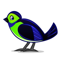 Cartoon bird two Royalty Free Vector Image - VectorStock