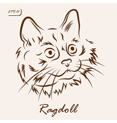 Ragdoll Cat Vector Images 80