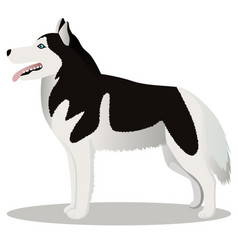 Siberian husky dog outline Royalty Free Vector Image