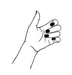 Female woman arm hand showing okay ok sign Vector Image