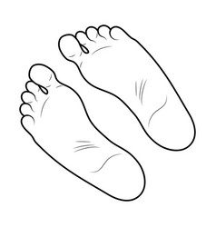 Feet Royalty Free Vector Image - VectorStock