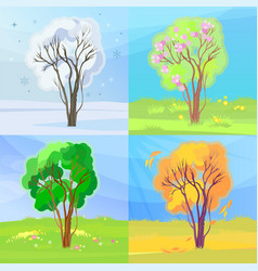 Seasons Royalty Free Vector Image - VectorStock