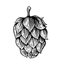 Beer Hops Vector Images (over 19,000)