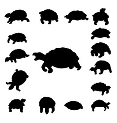 Tortoise Vector Images (over 5,000)