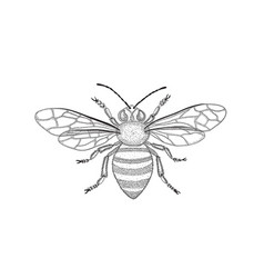 Bee Drawing Vector Images (over 7,300)