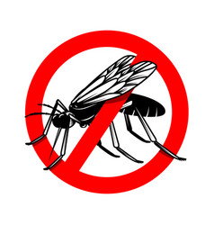 Mosquito cartoon ready to eat Royalty Free Vector Image