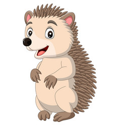 Cartoon hedgehog being looked Royalty Free Vector Image