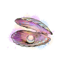 Shell pearl realistic isolated image Royalty Free Vector