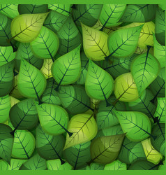 Spring leaves background Royalty Free Vector Image