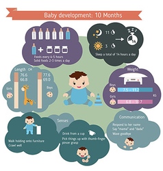 Child development infographics Royalty Free Vector Image