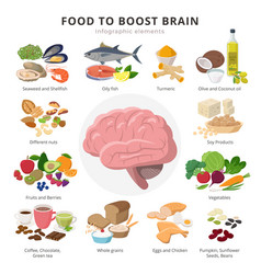 Healthy food and bad food for brains infographic Vector Image