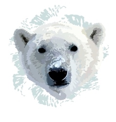polar bear head angry vector images 51