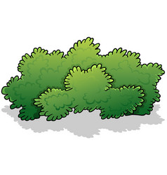 Green cartoon shrub Royalty Free Vector Image - VectorStock