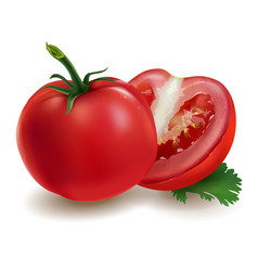 Fresh red ripe tomato Royalty Free Vector Image