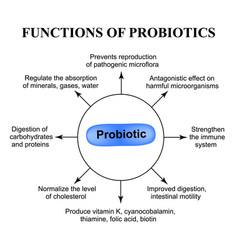 Probiotics Probiotic Infographics Vector Images (46)