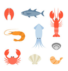Seafood sea creatures Royalty Free Vector Image