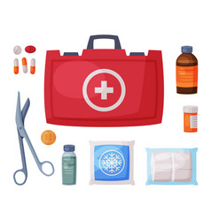 Pet first aid kit red veterinarian bag cartoon Vector Image